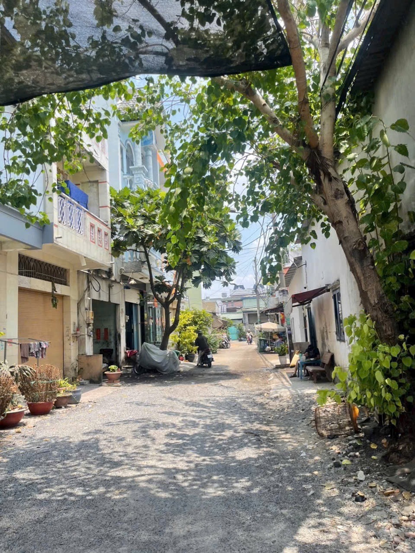 ALONHADAT .NET.VN - MIDTOWN Bán Căn Hộ & Thuê Nhận Gửi Nhà Đất,